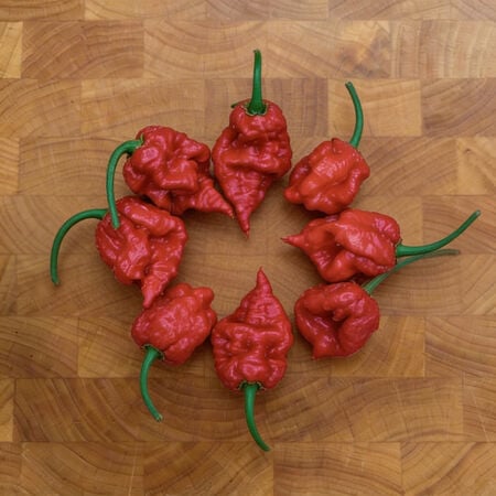 Carolina Reaper, Pepper Seeds - Packet image number null